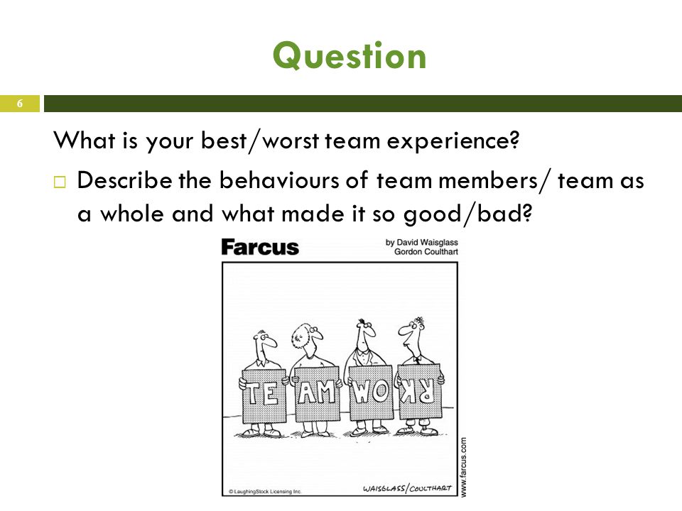 describe teamwork experience