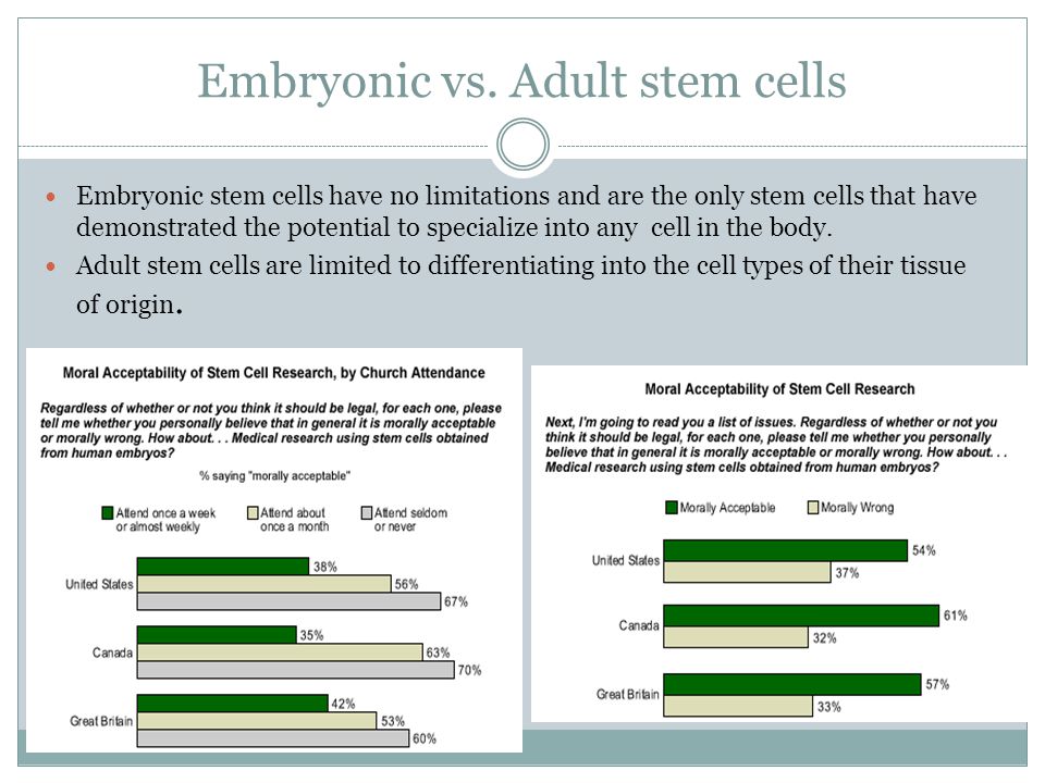 human embryonic stem cell research essay Embryonic stem cell research embryonic stem cell research papers examine the governments decisions on this particular research. human embryonic stem cell research essay Embryonic stem cell research embryonic stem cell research papers examine the governments decisions on this particular research.