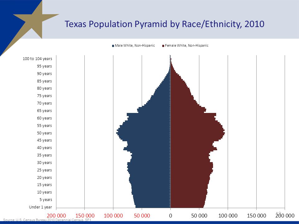 13 Texas Population Pyramid by Race/Ethnicity, 2010 Source: U.S.