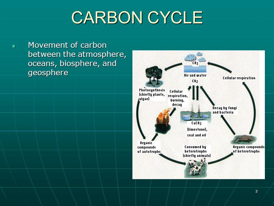 2 CARBON CYCLE Movement of carbon between the atmosphere, oceans, biosphere, and geosphere Movement of carbon between the atmosphere, oceans, biosphere, and geosphere