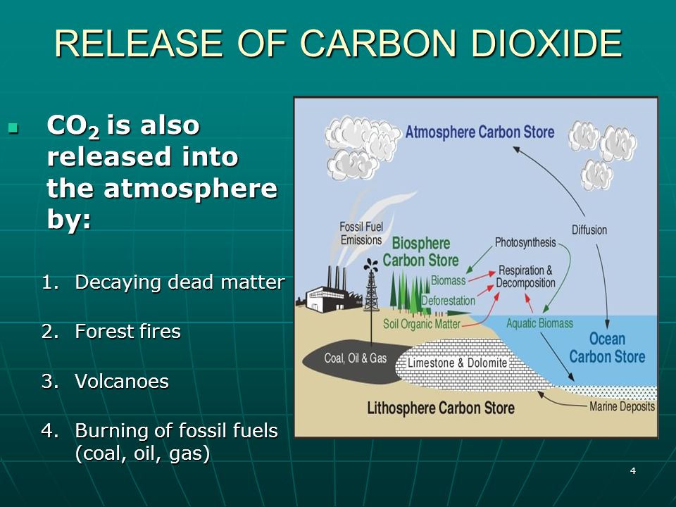 4 RELEASE OF CARBON DIOXIDE CO 2 is also released into the atmosphere by: CO 2 is also released into the atmosphere by: 1.Decaying dead matter 2.Forest fires 3.Volcanoes 4.Burning of fossil fuels (coal, oil, gas)