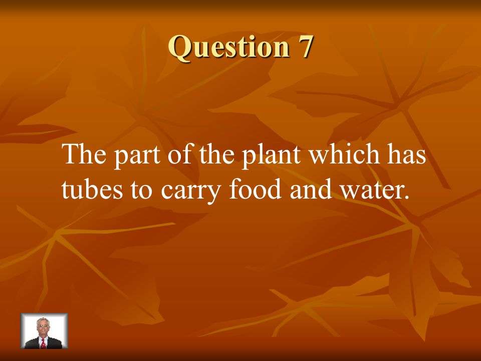 Answer 6 What is – the leaves