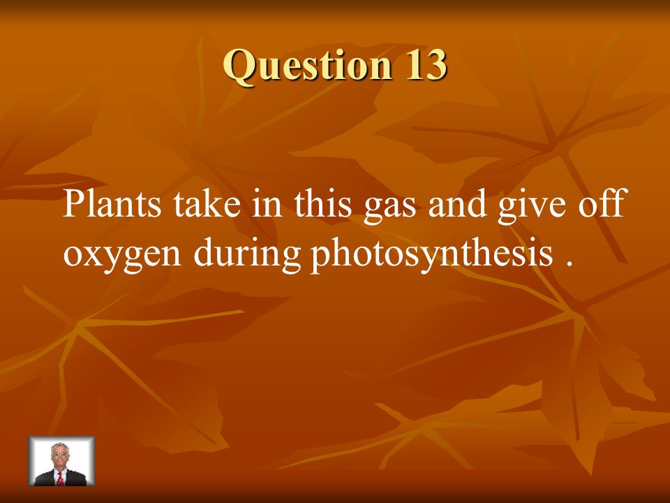 Answer 12 What is – chlorophyll