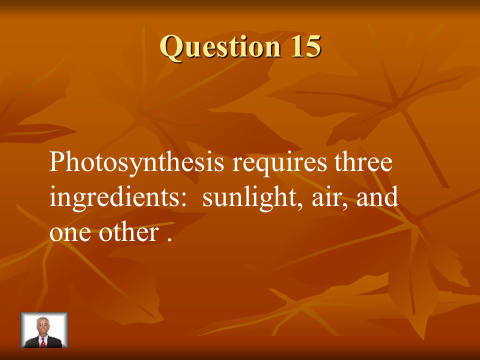 Answer 14 What is – sunlight
