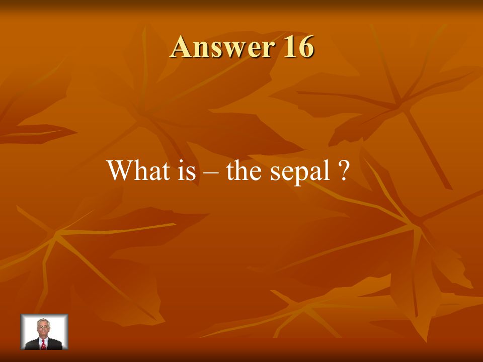 Question 16 This part of the flower supports the petals.