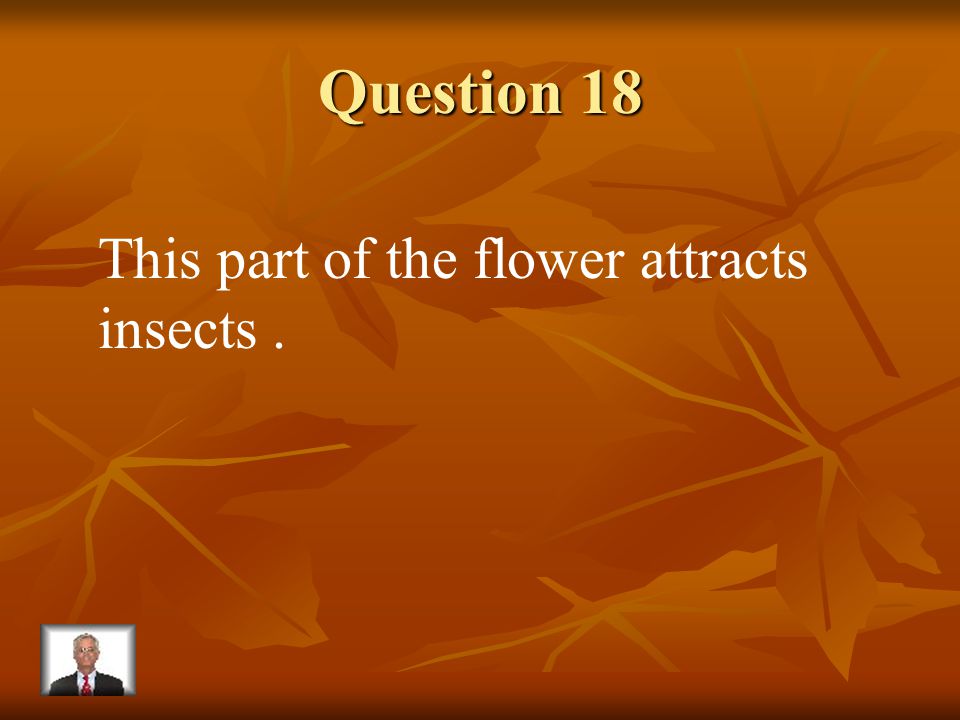Answer 17 What is – the pistil