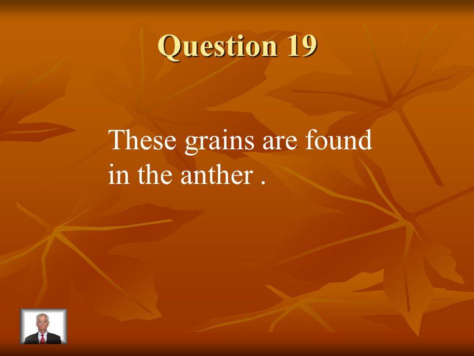 Answer 18 What is – the petal