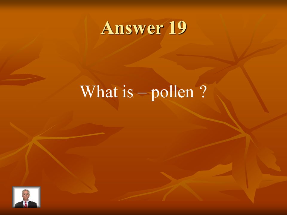 Question 19 These grains are found in the anther.