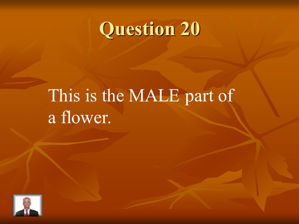 Answer 19 What is – pollen
