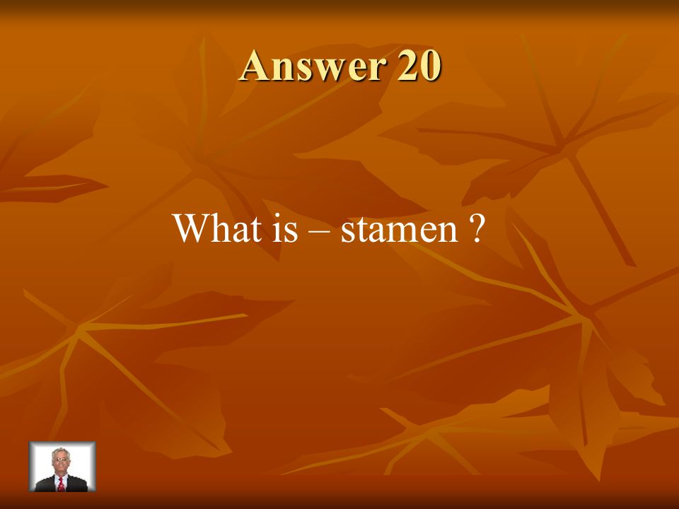 Question 20 This is the MALE part of a flower.