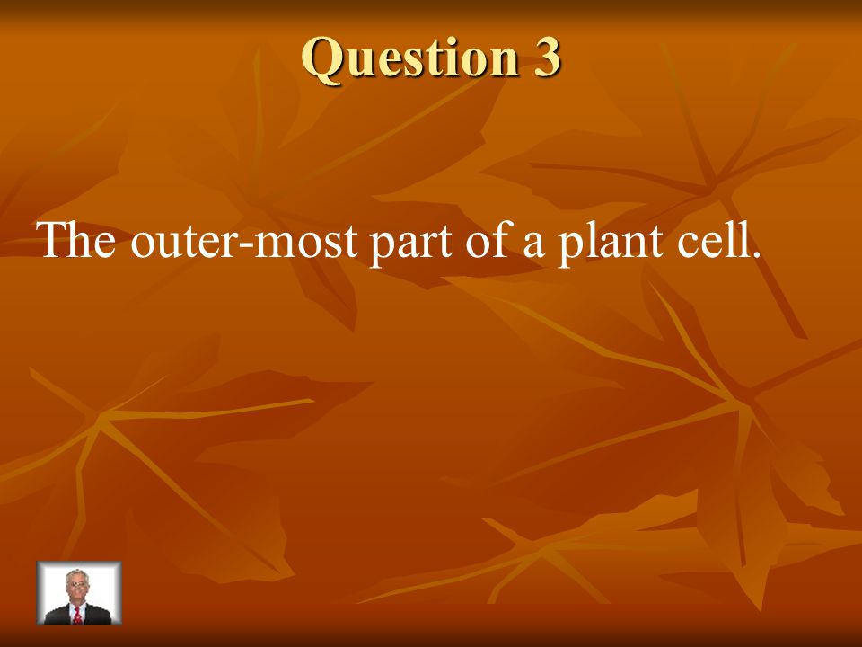 Answer 2 What is – cytoplasm