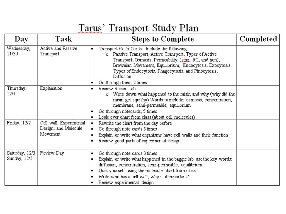 exam study schedule template