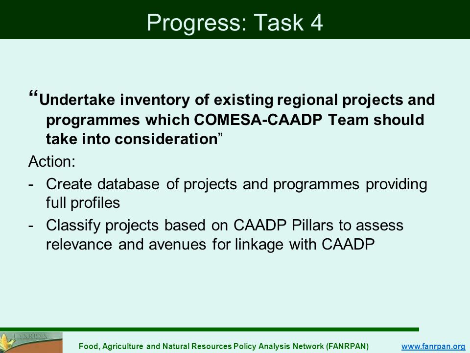 Food, Agriculture and Natural Resources Policy Analysis Network (FANRPAN)   Progress: Task 4 Undertake inventory of existing regional projects and programmes which COMESA-CAADP Team should take into consideration Action: -Create database of projects and programmes providing full profiles -Classify projects based on CAADP Pillars to assess relevance and avenues for linkage with CAADP