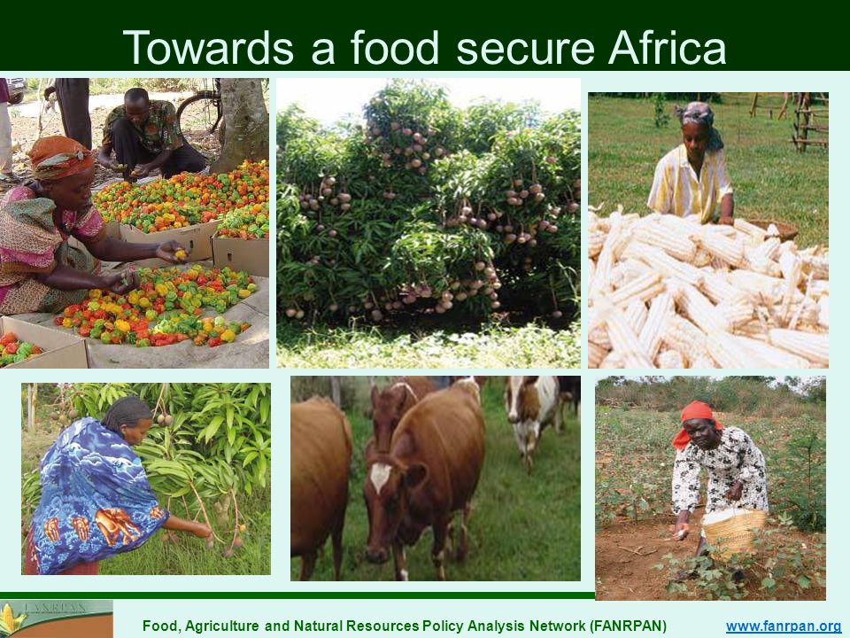 Food, Agriculture and Natural Resources Policy Analysis Network (FANRPAN)   Thanks you Towards a food secure Africa