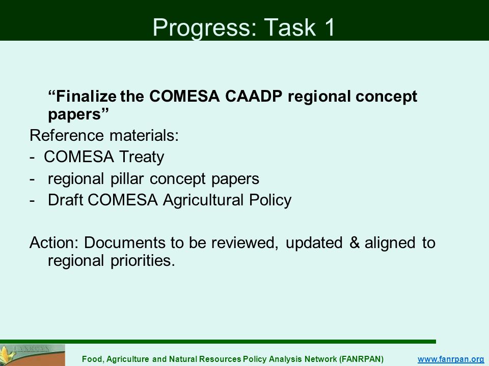 Food, Agriculture and Natural Resources Policy Analysis Network (FANRPAN)   Progress: Task 1 Finalize the COMESA CAADP regional concept papers Reference materials: - COMESA Treaty -regional pillar concept papers -Draft COMESA Agricultural Policy Action: Documents to be reviewed, updated & aligned to regional priorities.