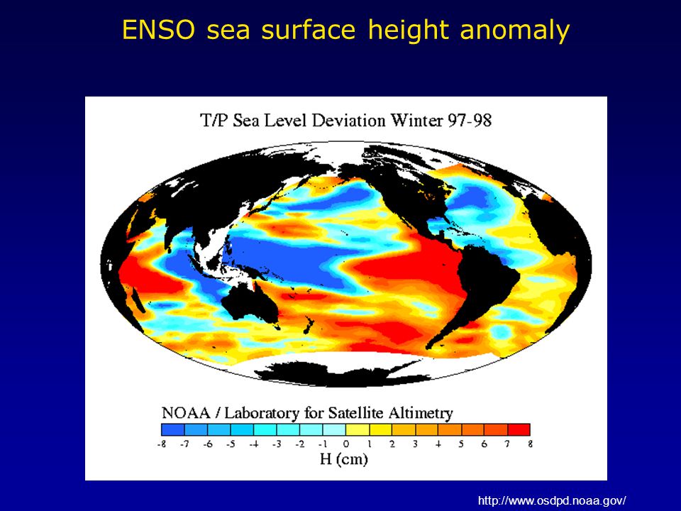 ENSO sea surface height anomaly