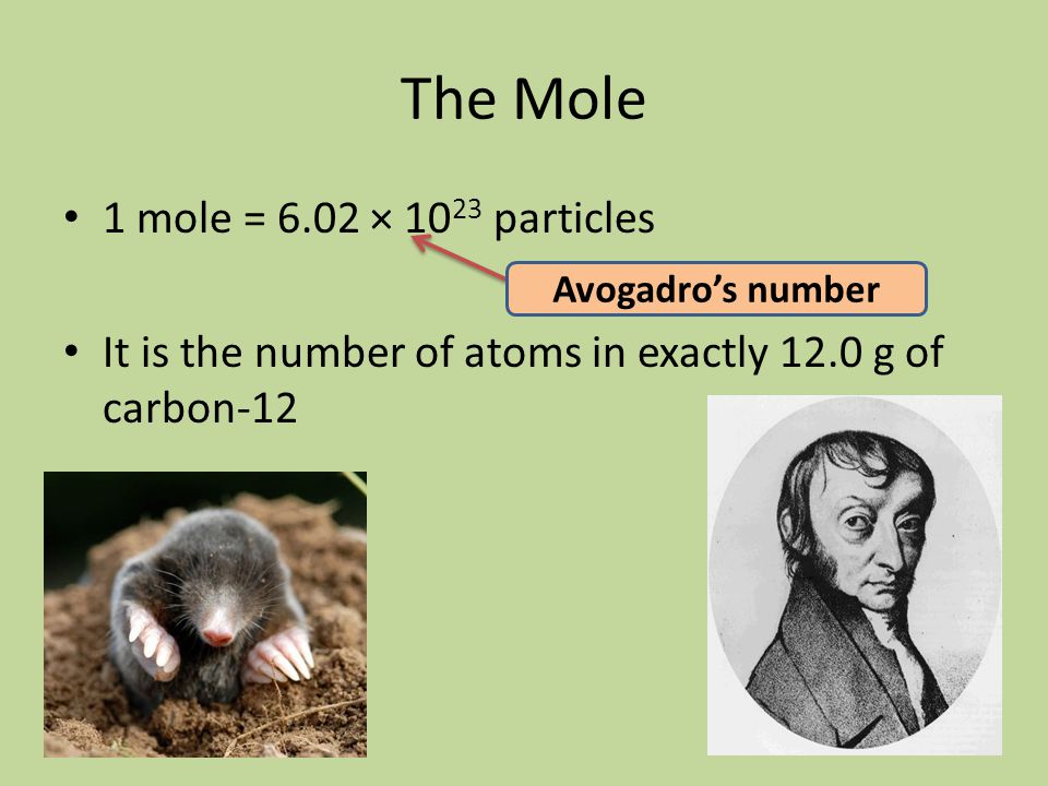 The Mole 1 mole = 6.02 × particles It is the number of atoms in exactly 12.0 g of carbon-12 Avogadro’s number