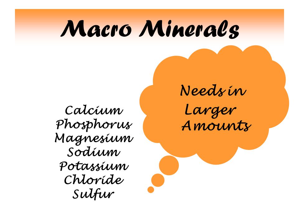 Macro Minerals Needs in Larger Amounts Calcium Phosphorus Magnesium Sodium Potassium Chloride Sulfur