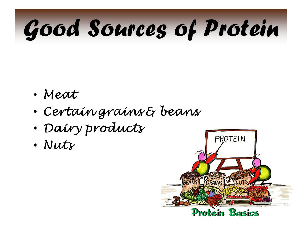 Good Sources of Protein Meat Certain grains & beans Dairy products Nuts