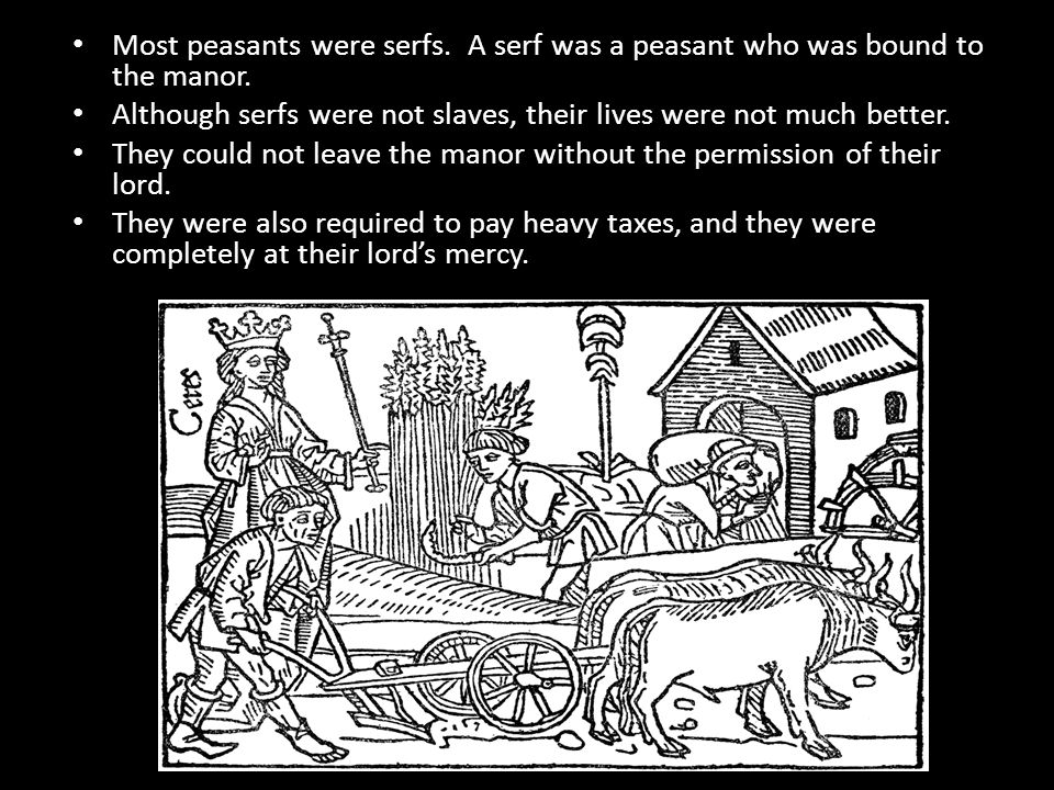Most peasants were serfs. A serf was a peasant who was bound to the manor.
