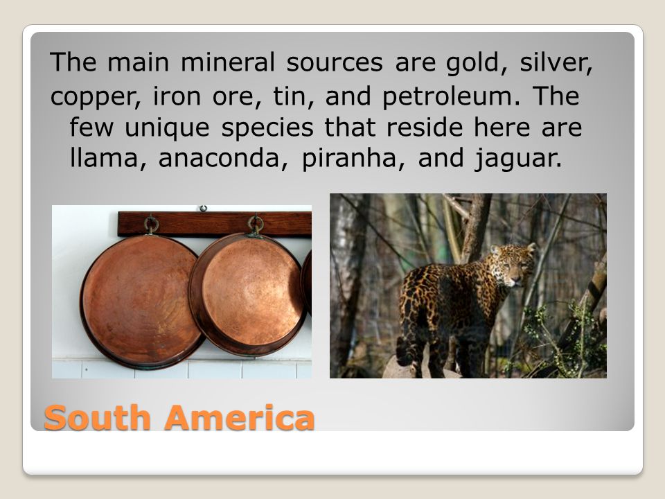 South America The main mineral sources are gold, silver, copper, iron ore, tin, and petroleum.