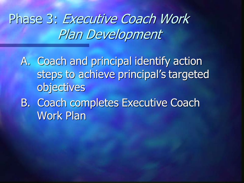 Phase 3: Executive Coach Work Plan Development A.