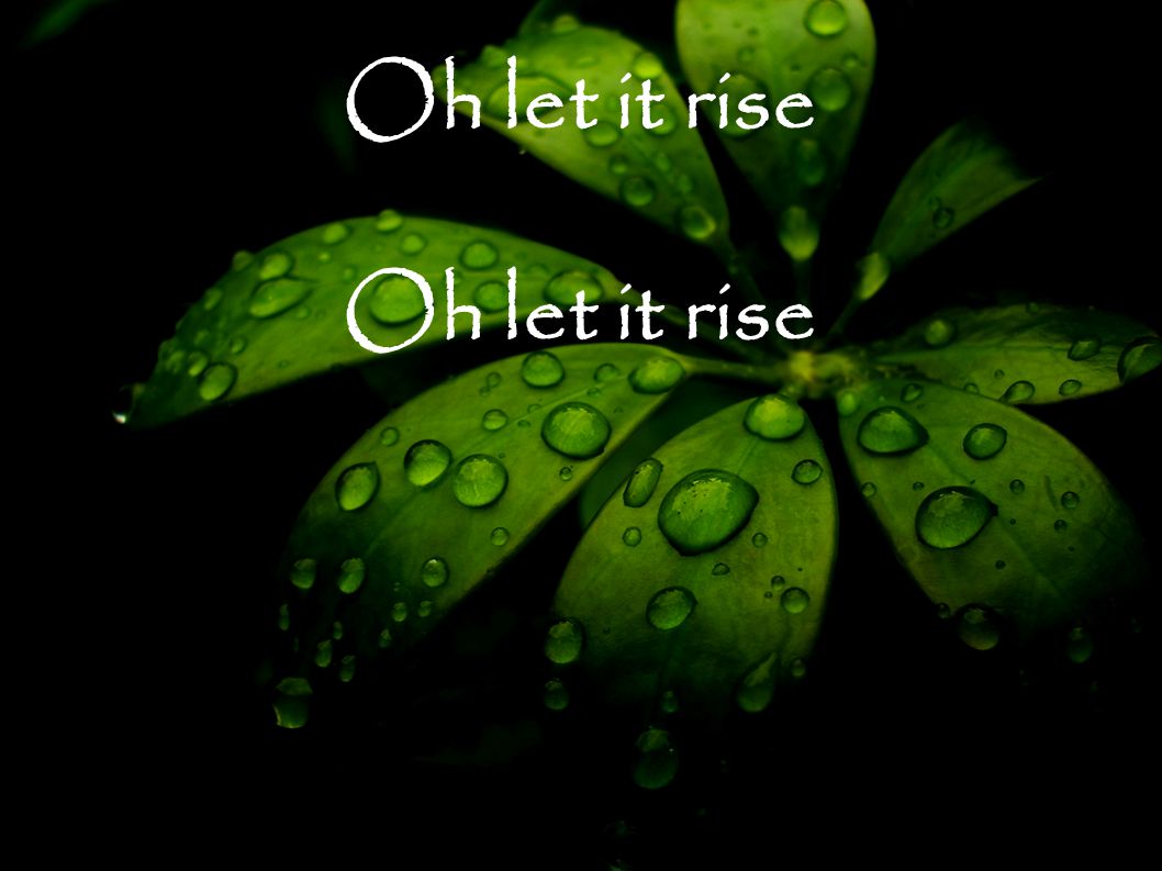 Oh let it rise