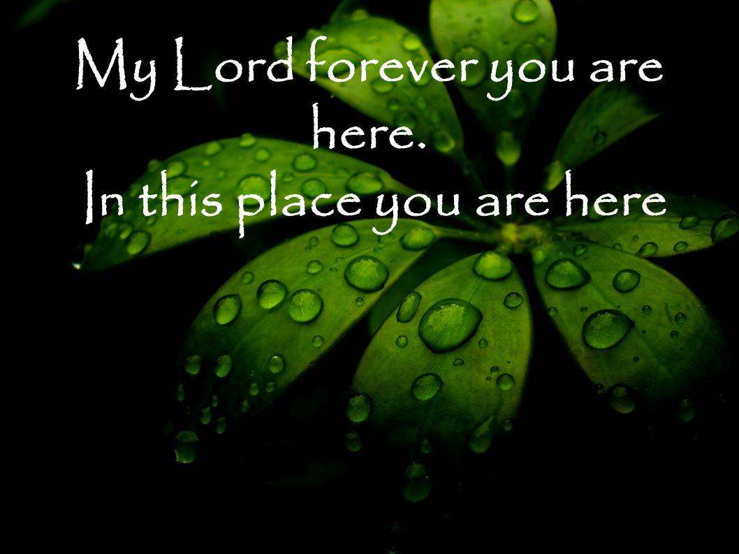 My Lord forever you are here. In this place you are here