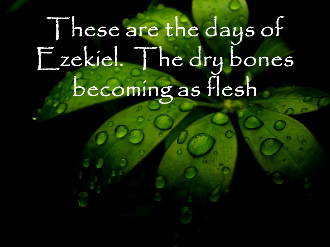 These are the days of Ezekiel. The dry bones becoming as flesh