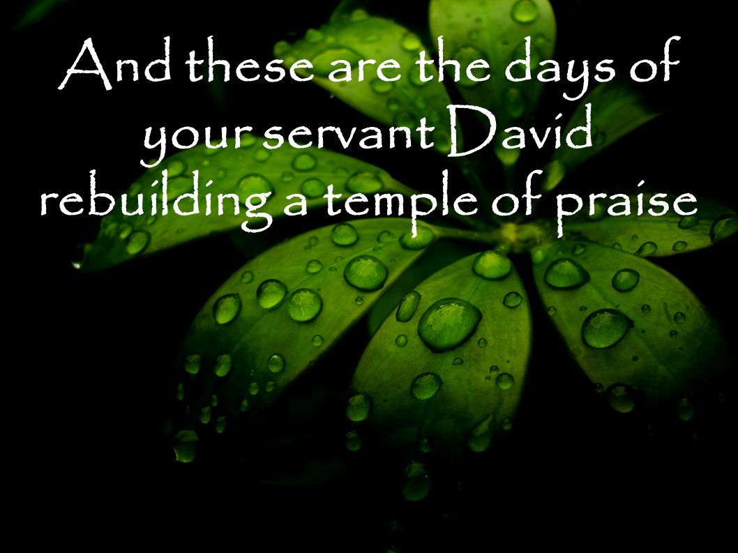 And these are the days of your servant David rebuilding a temple of praise