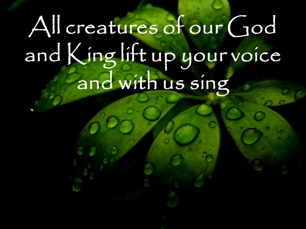 All creatures of our God and King lift up your voice and with us sing