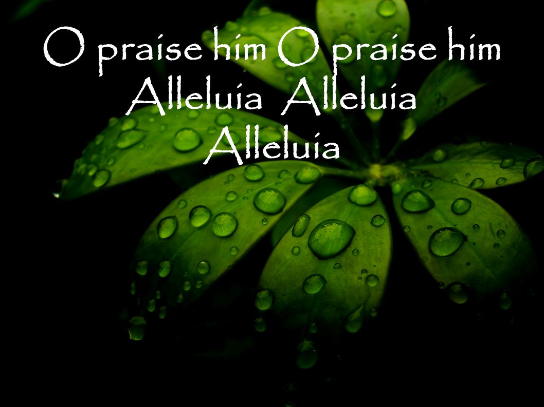 O praise him Alleluia
