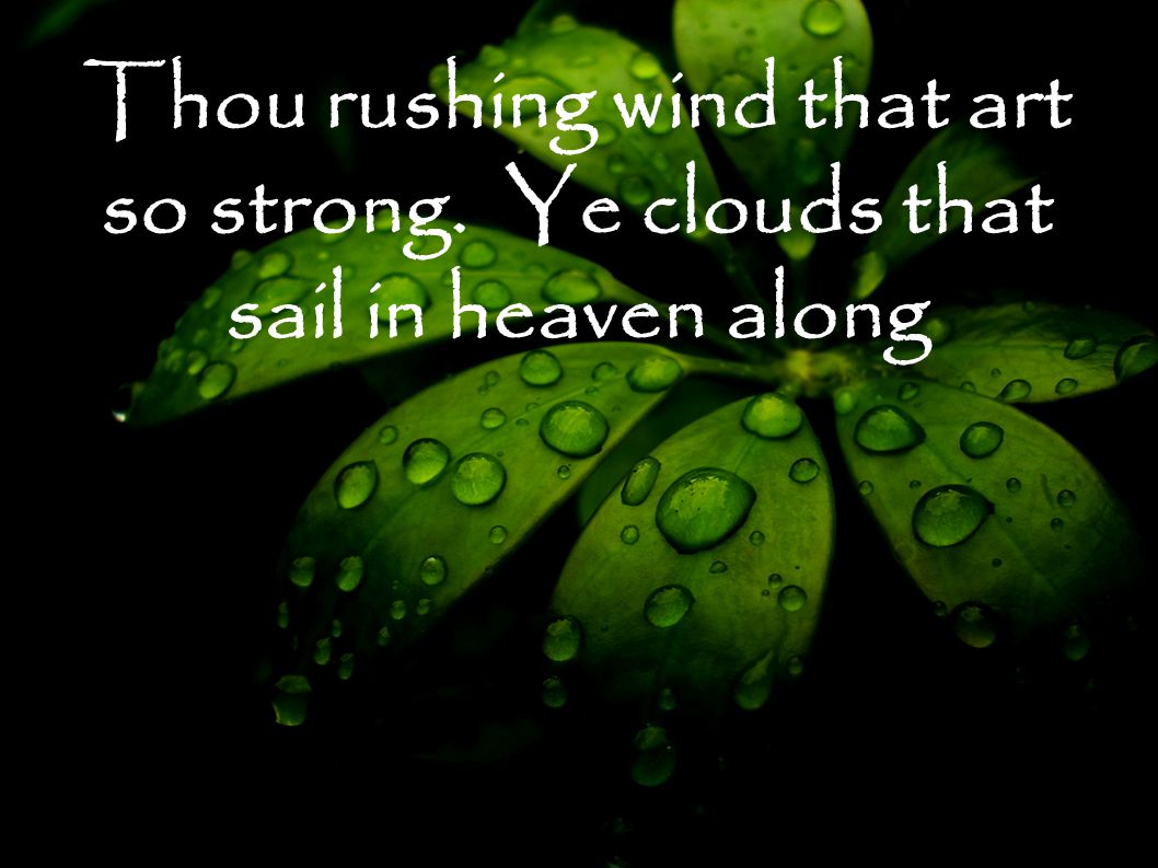 Thou rushing wind that art so strong. Ye clouds that sail in heaven along