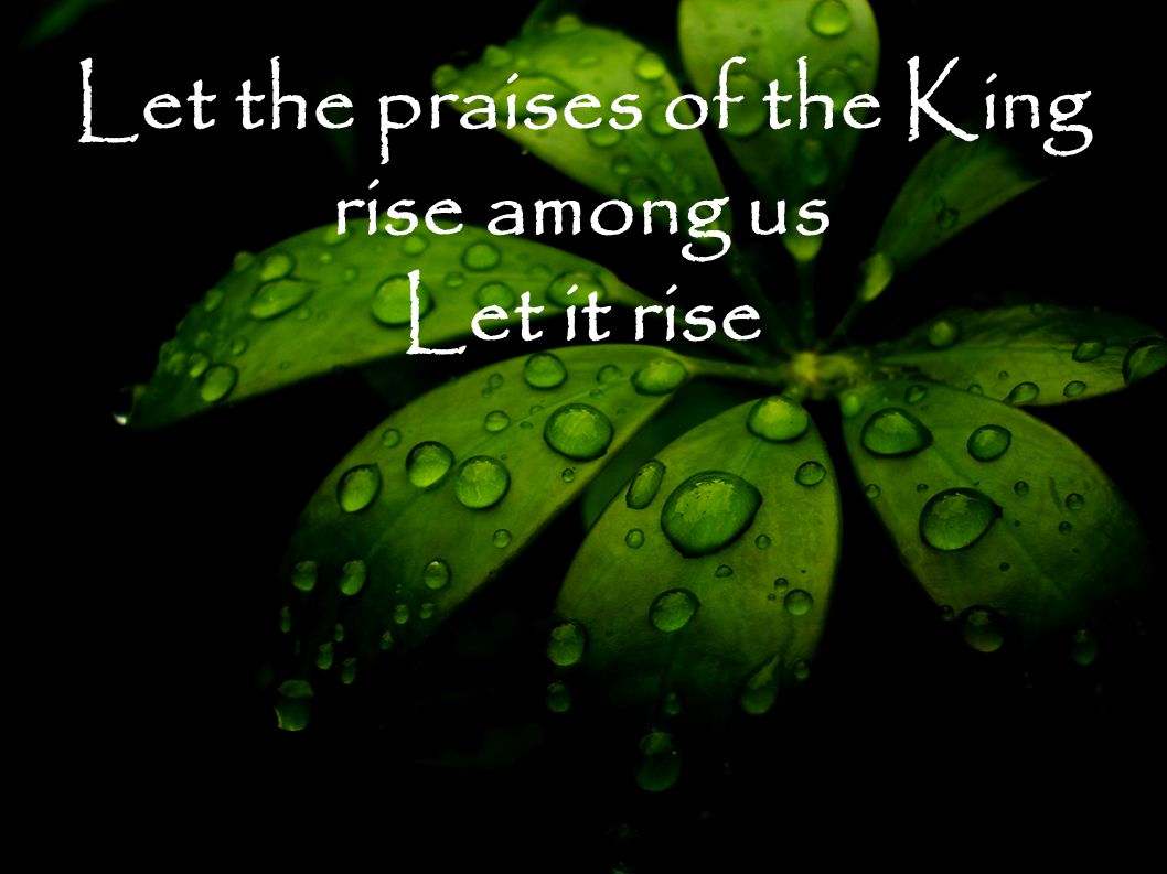 Let the praises of the King rise among us Let it rise
