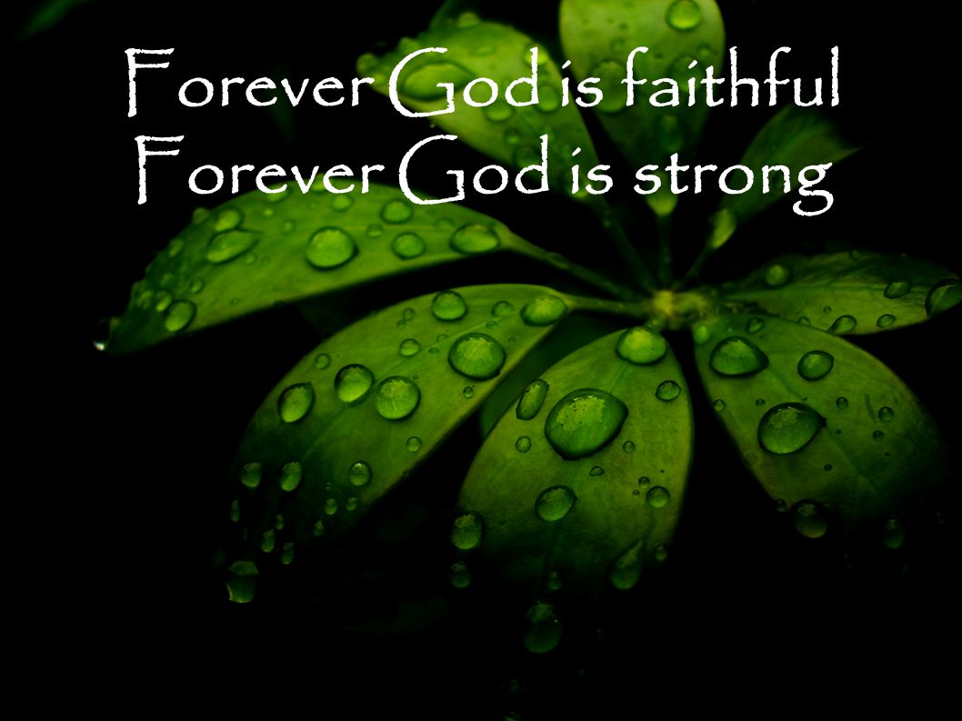 Forever God is faithful Forever God is strong