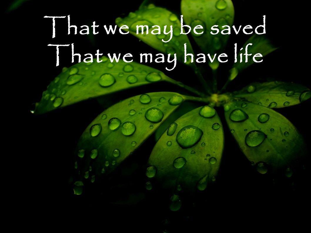 That we may be saved That we may have life
