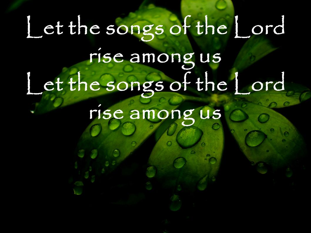 Let the songs of the Lord rise among us Let the songs of the Lord rise among us