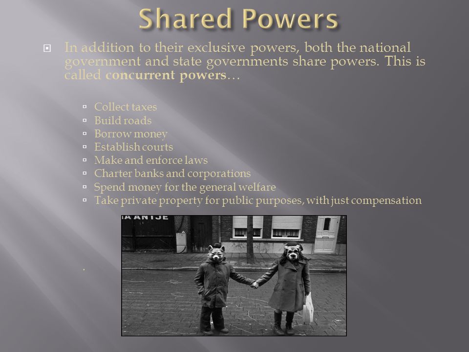  In addition to their exclusive powers, both the national government and state governments share powers.
