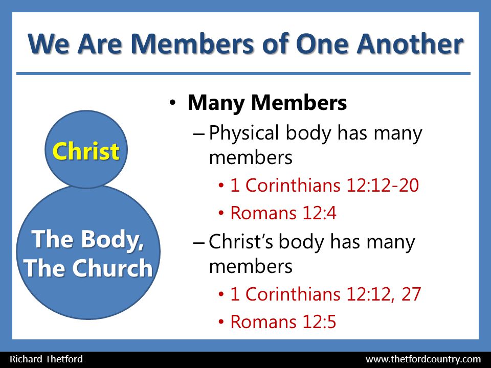 We Are Members of One Another Many Members – Physical body has many members 1 Corinthians 12:12-20 Romans 12:4 – Christ’s body has many members 1 Corinthians 12:12, 27 Romans 12:5 Richard Thetford   Christ The Body, The Church