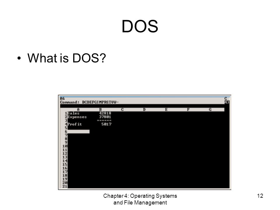 Chapter 4: Operating Systems and File Management 12 DOS What is DOS