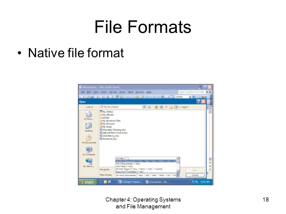 Chapter 4: Operating Systems and File Management 18 File Formats Native file format