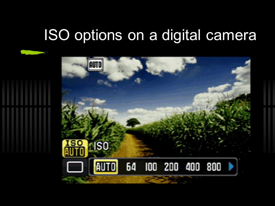 ISO options on a digital camera