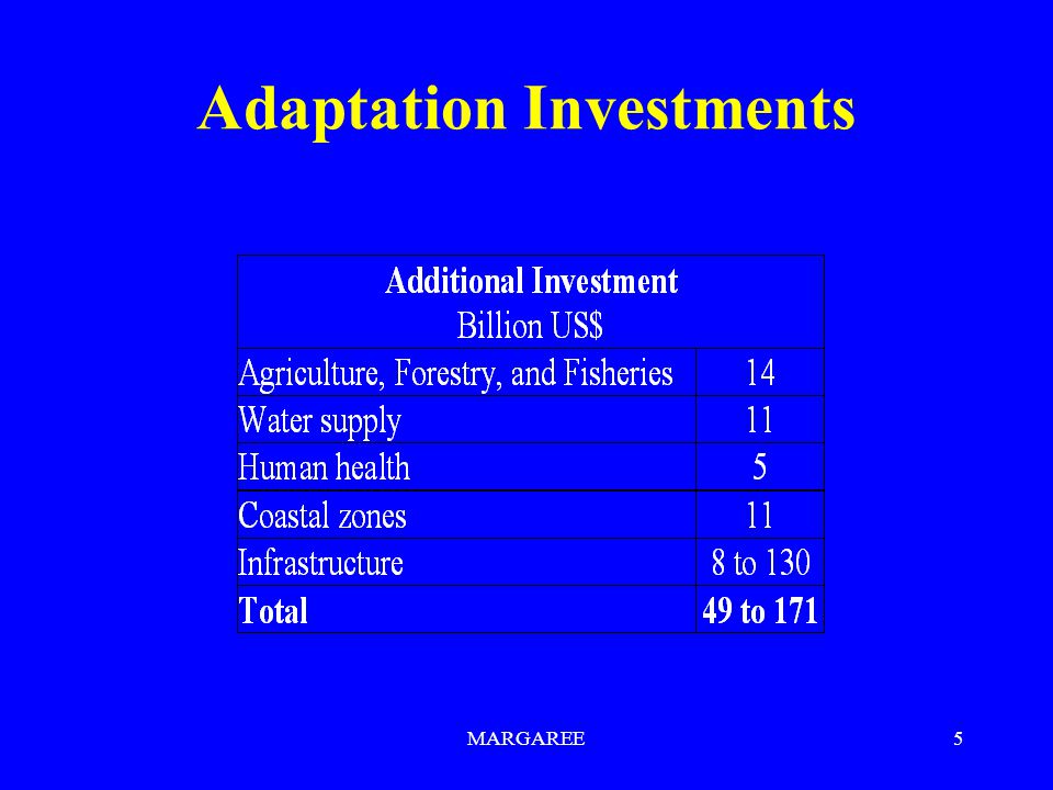 MARGAREE5 Adaptation Investments