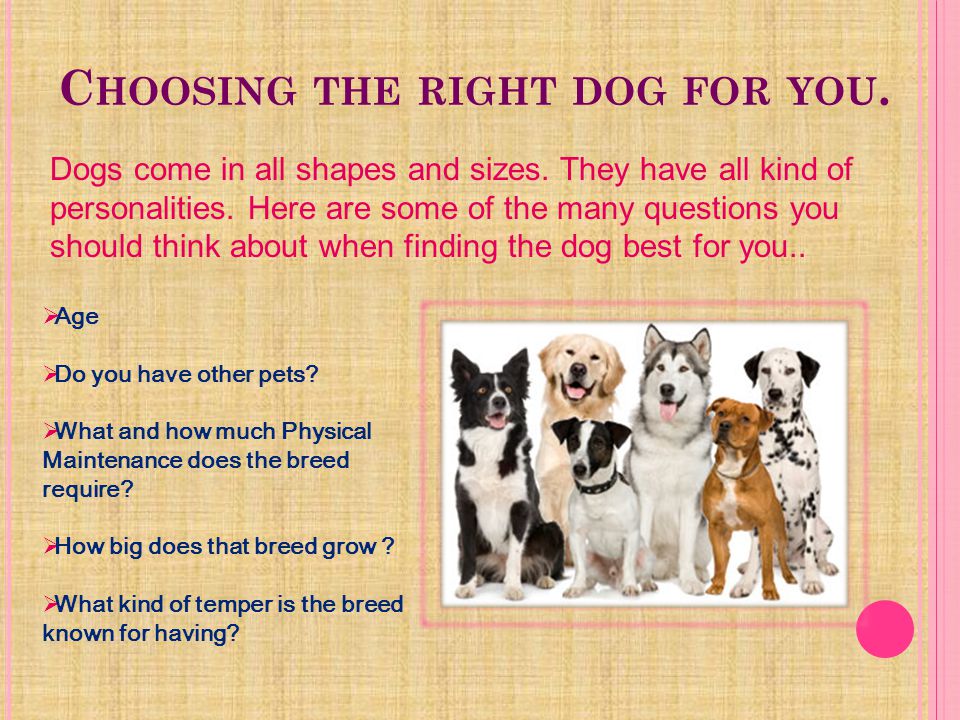 T ABLE OF C ONTENTS Page 3- Choosing the right dog for you Question List.