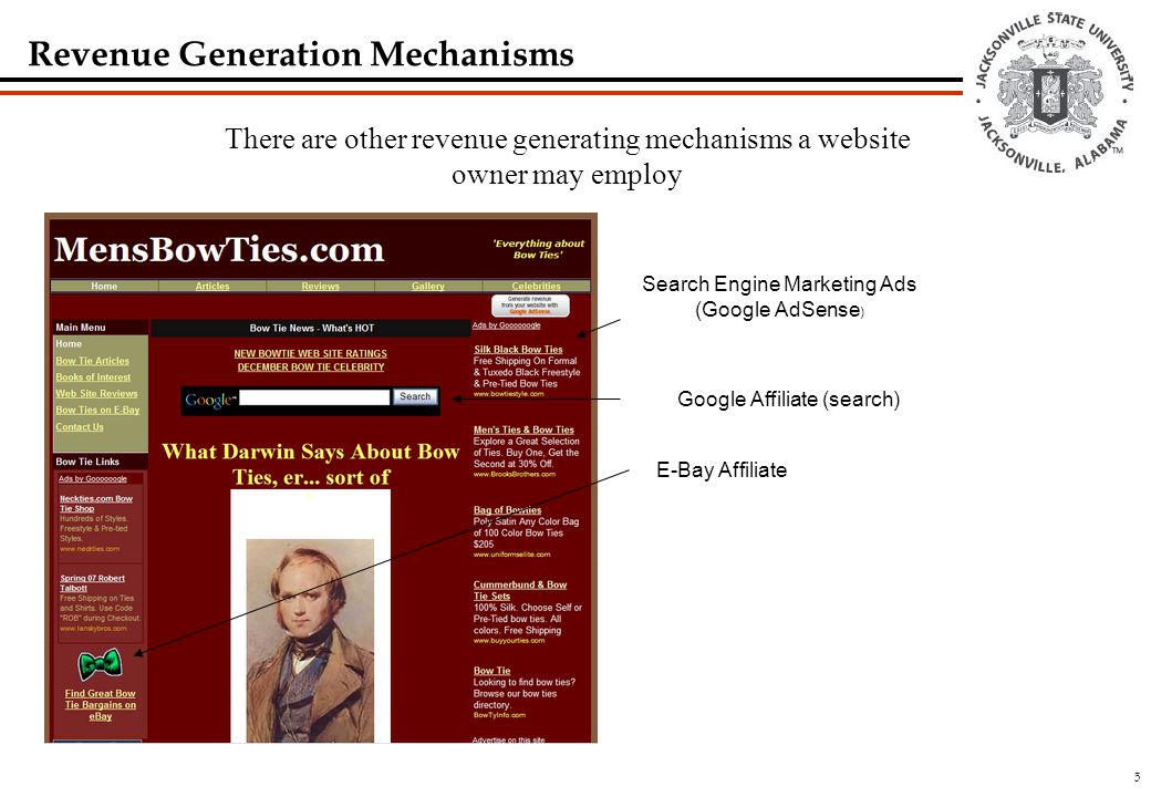 5 Revenue Generation Mechanisms Search Engine Marketing Ads (Google AdSense ) Google Affiliate (search) E-Bay Affiliate There are other revenue generating mechanisms a website owner may employ