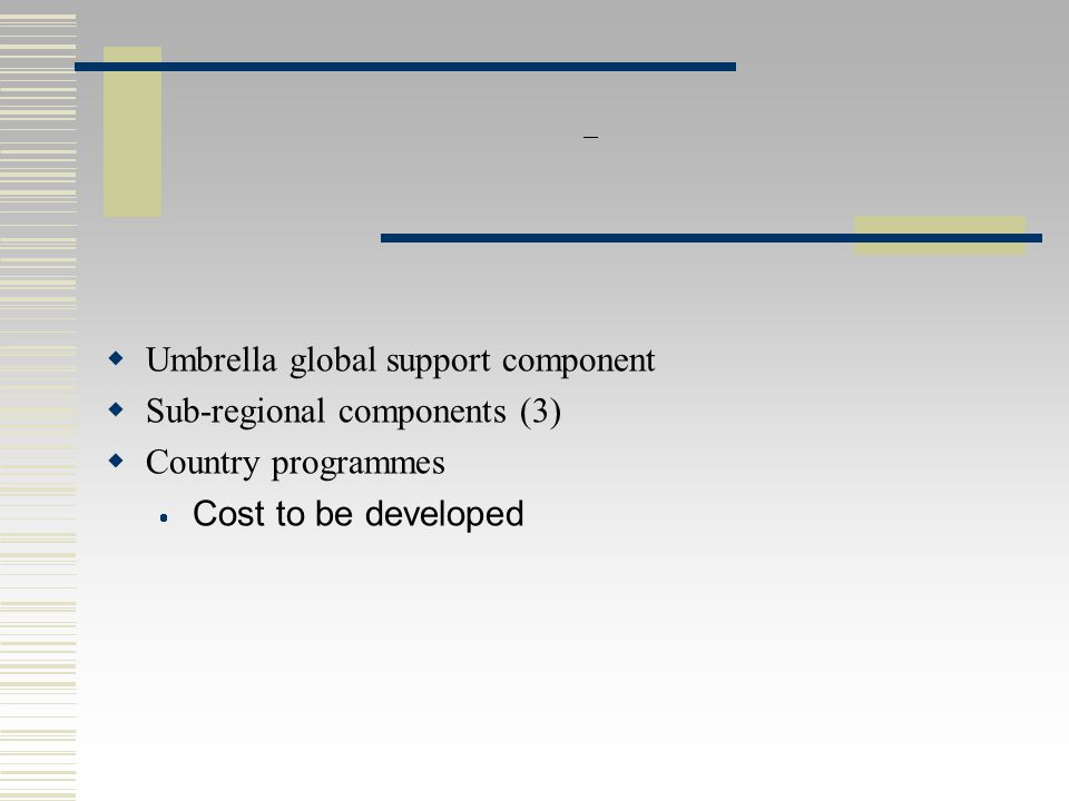 PARIS SEMINAR :  Umbrella global support component  Sub-regional components (3)  Country programmes  Cost to be developed