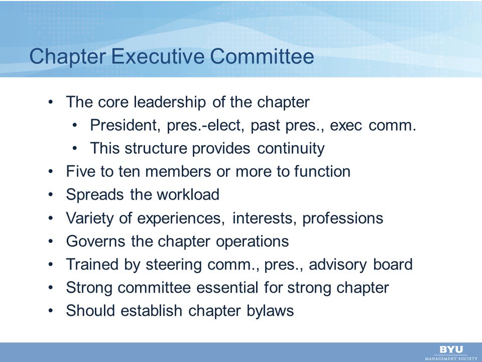 Chapter Executive Committee The core leadership of the chapter President, pres.-elect, past pres., exec comm.