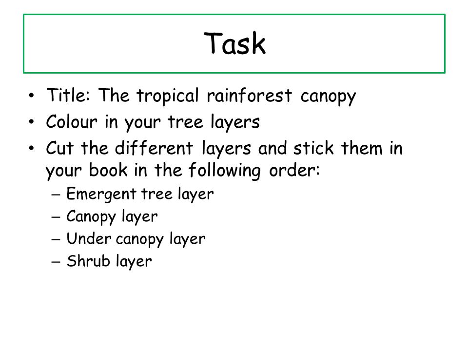 Task Title: The tropical rainforest canopy Colour in your tree layers Cut the different layers and stick them in your book in the following order: – Emergent tree layer – Canopy layer – Under canopy layer – Shrub layer
