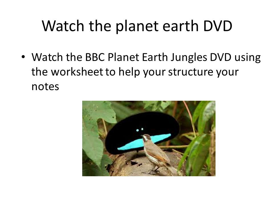 Watch the planet earth DVD Watch the BBC Planet Earth Jungles DVD using the worksheet to help your structure your notes