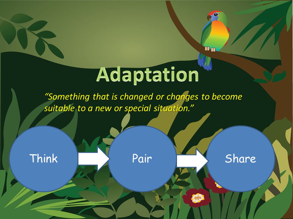 Something that is changed or changes to become suitable to a new or special situation. ThinkSharePair